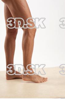 Leg reference of Rufus 0008